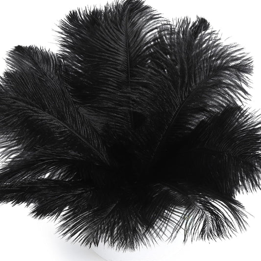 FANDAMEI 20 Pcs Black Ostrich Feathers, Black Feathers, 8-10 inch (20-25cm), Feathers for Crafting, Craft Feathers for Centerpiece Table Decorations, Home Decorations, Black Party Decorations