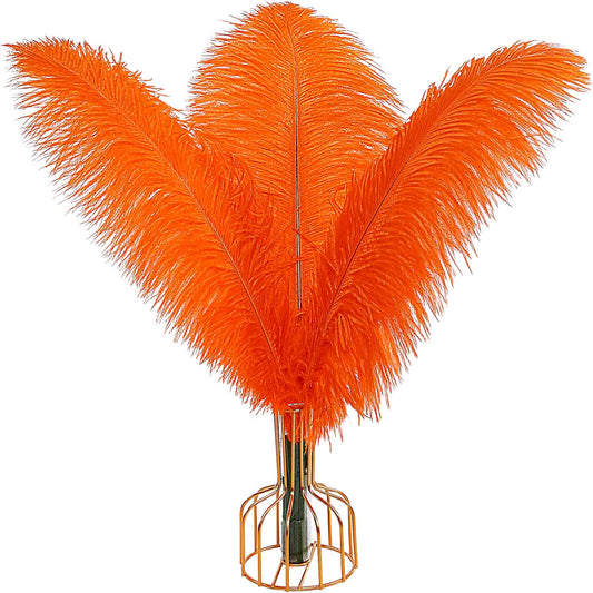 THARAHT Orange Ostrich Feathers 12pcs Large Natural Bulk 16-18Inch 40cm-45cm for Wedding Party Centerpieces Halloween and Home Decoration Feathers