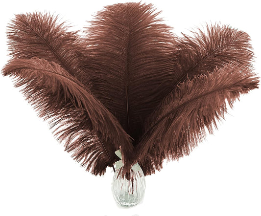 Ballinger Brown Ostrich Feathers Bulk - 24pcs 10-12inch Boho Feathers for vase，Wedding Party Centerpieces and Home Decor