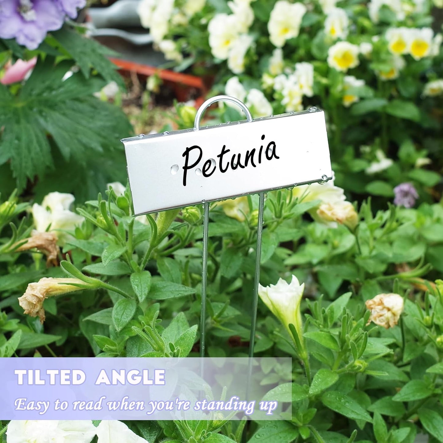 FORUP Metal Plant Labels, 50 Pack Garden Label Markers, Weatherproof Garden Stake Tags, Reusable Planting Gardening Markers, Silver