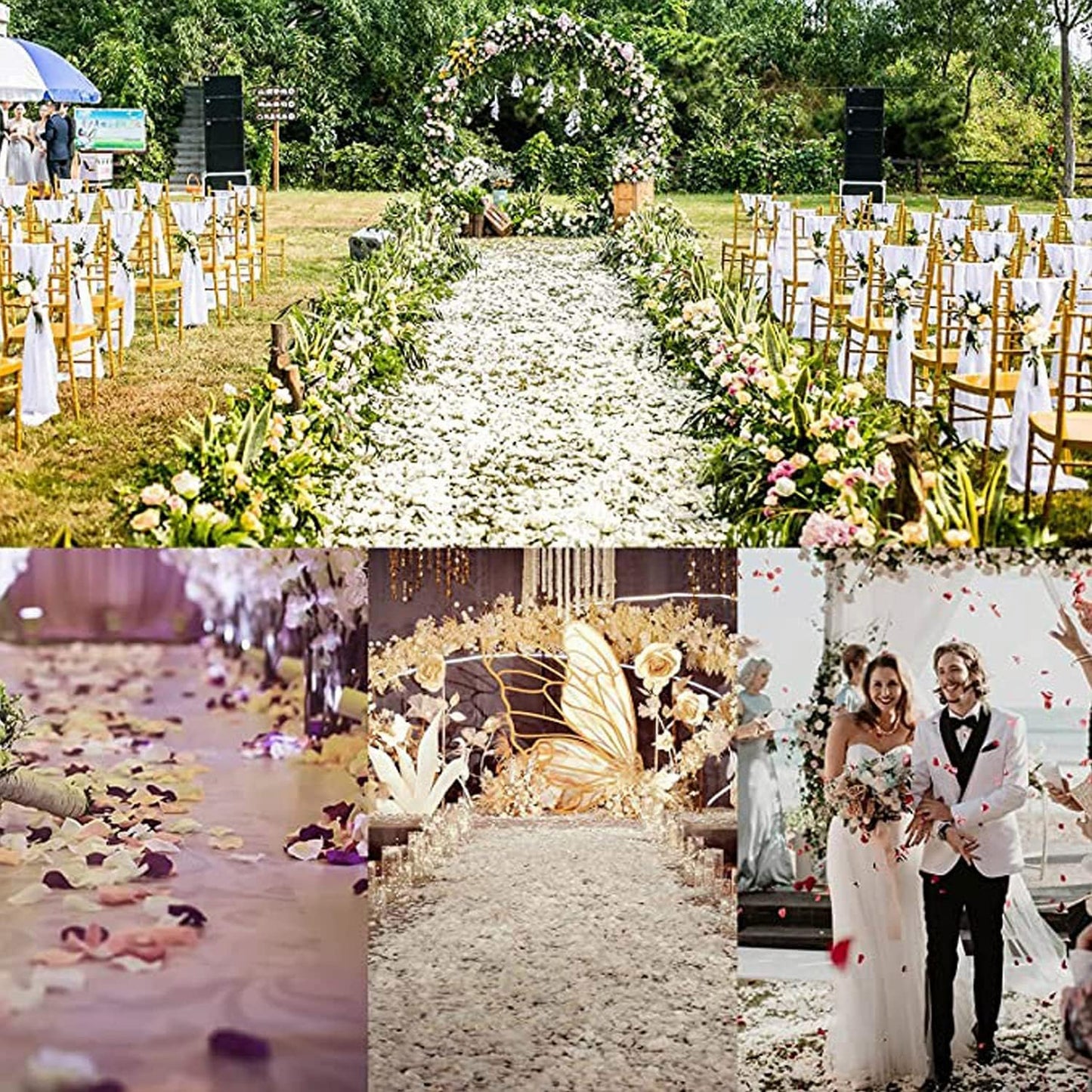 ocharzy 1000pcs Separated Champagne Like Pink, Rose Petals for Romantic Night,Wedding,Proposal Anniversary Flower Decorations