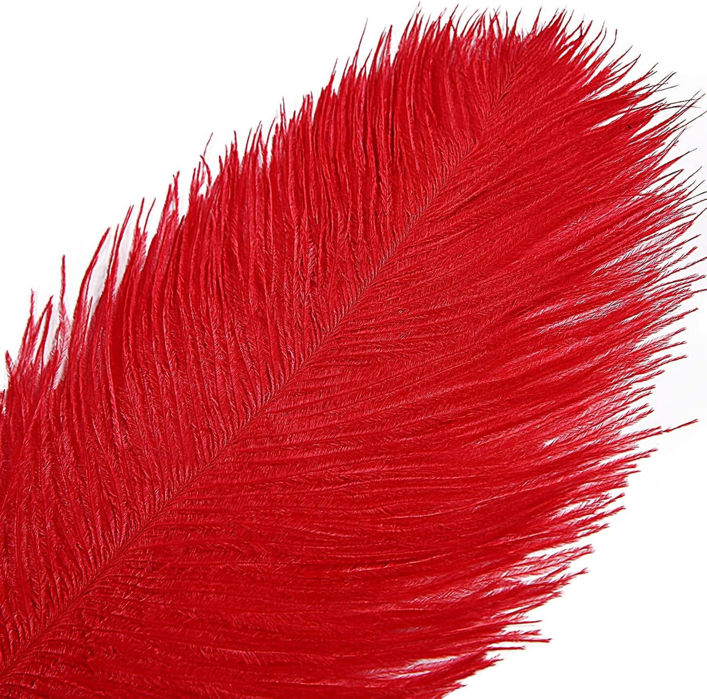THARAHT Red Ostrich Feathers 12pcs Large Natural Bulk 12-14Inch 30cm-35cm for Wedding Party Centerpieces Halloween and Home Decoration Feathers