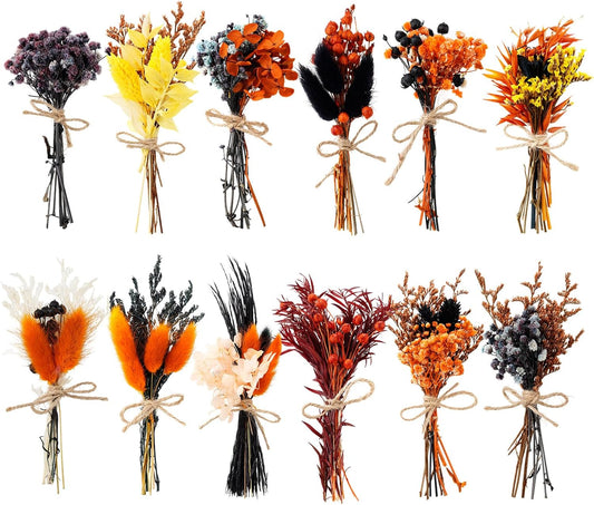 10/12/24/36 Pack Mini Dried Flowers for Vase Wedding Various Mini Bouquet Dried Small Wildflowers Natural Flowers Bulk for Crafts DIY Decor (12, Halloween Color2)