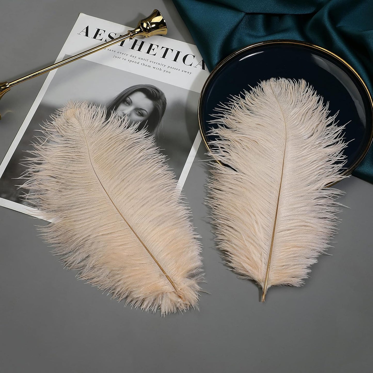 Ballinger Light Salmon Ostrich Feathers - 24pcs 12-14inch Big Feathers for Crafts，Wedding Party Centerpieces and Home Decor