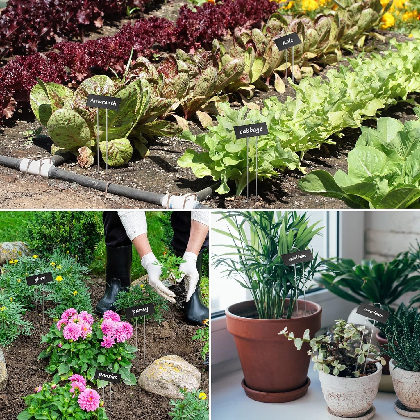 STARTOSTAR 50-Pack Metal Plant Labels Weatherproof Garden Markers,Height 10.6'', Label Area 3.5''X 1.2'' Reusable Nursery Tags for Vegetables Herb Flower Seed Greenhouse - Black