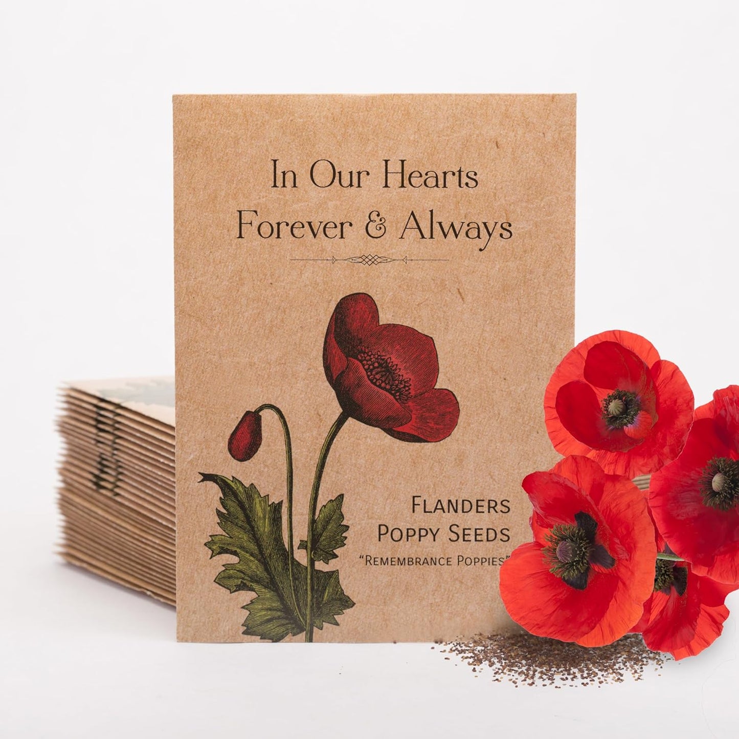 Bentley Seed Co. | Celebration of Life Funeral Favors for Guests | Non-GMO, Non-Coated Flanders Poppy Seed Packets in Our Hearts Forever and Always | Sentimental Memorial Service Gift | Pack of 25