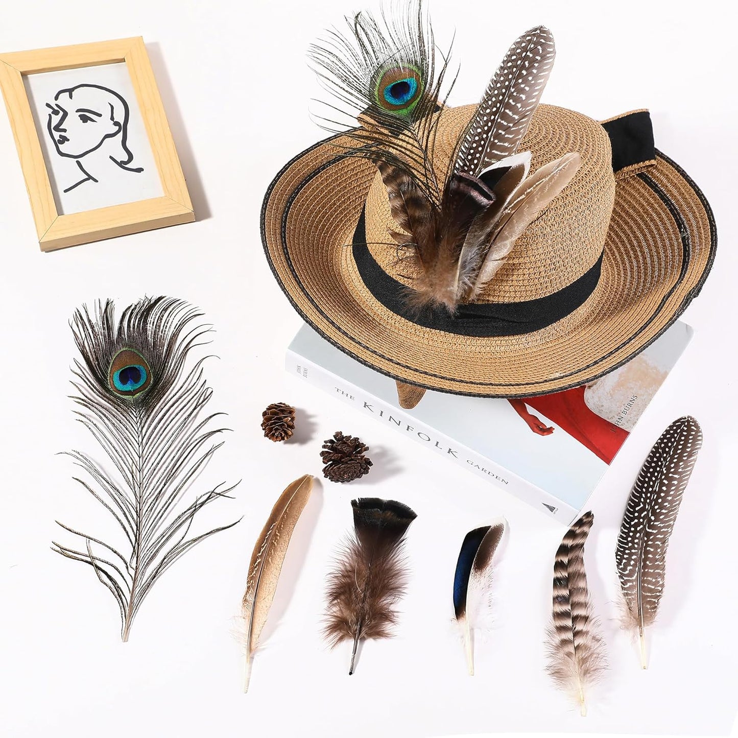 Holmgren 48pcs Natural Feathers Bulk - 6 Styles Assorted Peacock, Pheasant, Turkey Feathers for Craft DIY Jewelry Hat Wedding Home Party Decoration