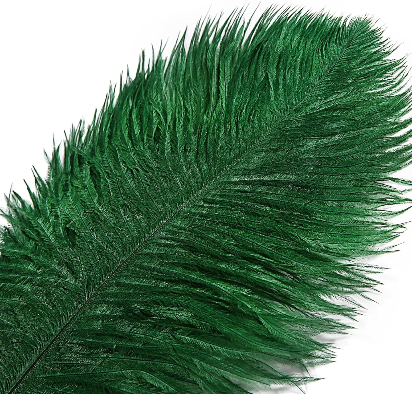 THARAHT Blackish Green Ostrich Feathers 12pcs Large Natural Bulk 14-16Inch 35cm-40cm for Wedding Party Centerpieces Mardi Gras Decoration Feather