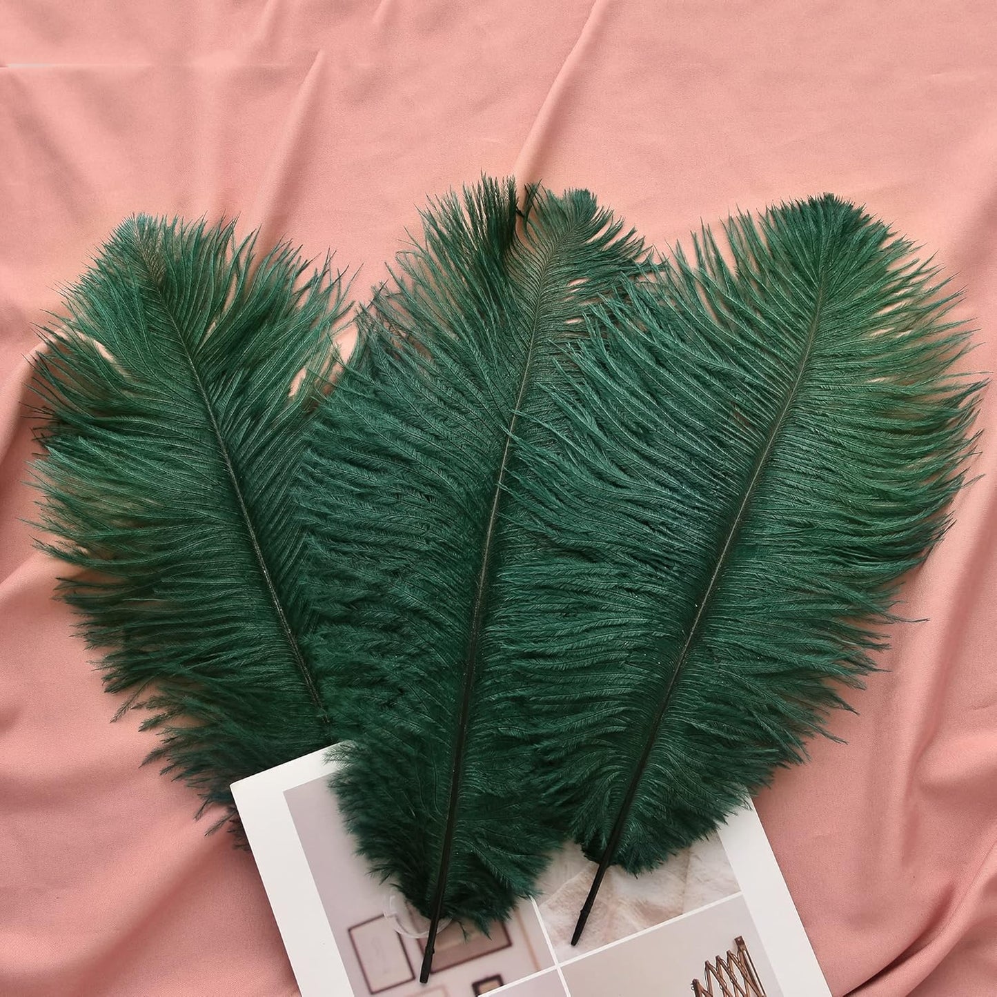 Ballinger Green Long Ostrich Feathers - 12Pcs 14-16inch Large Feathers for Tall Vase,Wedding Party Centerpieces and Holiday Home Decor