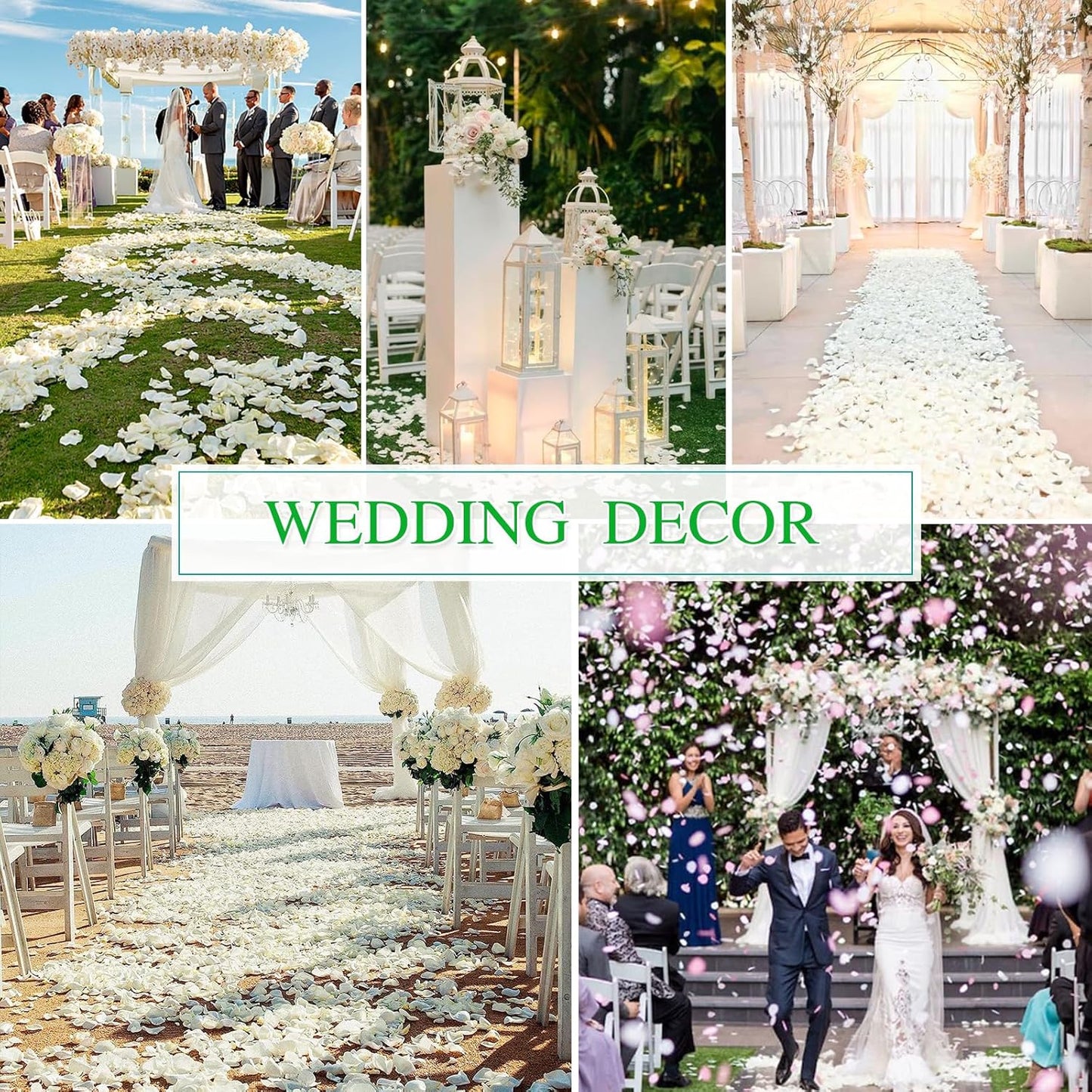 Dried Real White Rose Petals, Freeze Preserved Flower Petals 2.8 oz for Valentine's Day Gifts Wedding Party Decor, Flower Girl, Dinner Table Centerpieces, Bridal Shower, Flower Confetti 80g