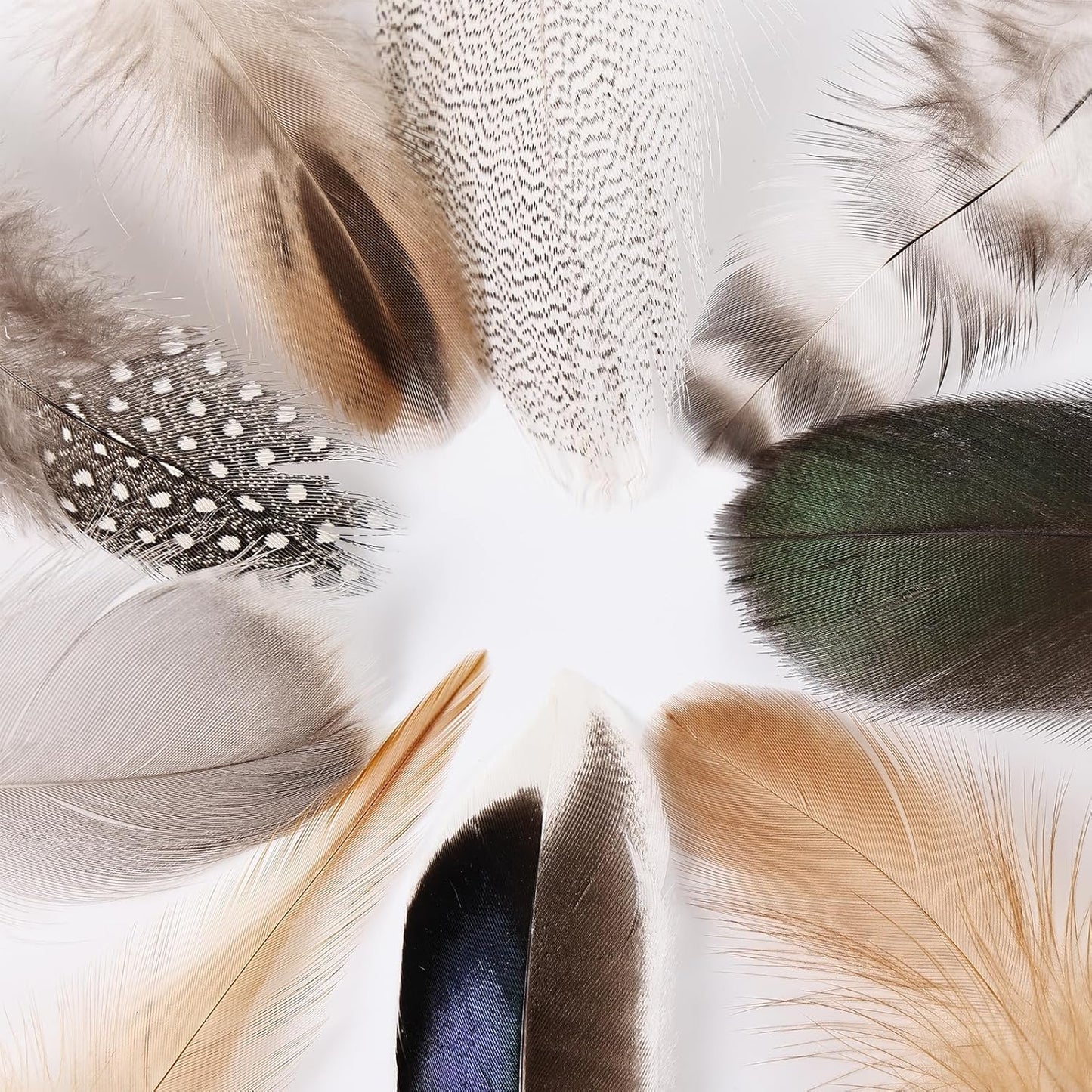 MAOFENG 270pcs 9 Styles Natural Bulk Feathers Assorted Mixed Feathers for DIY Crafts Dream Catcher Wedding Hair Hats Decoration, Guinea Fowl Feathers