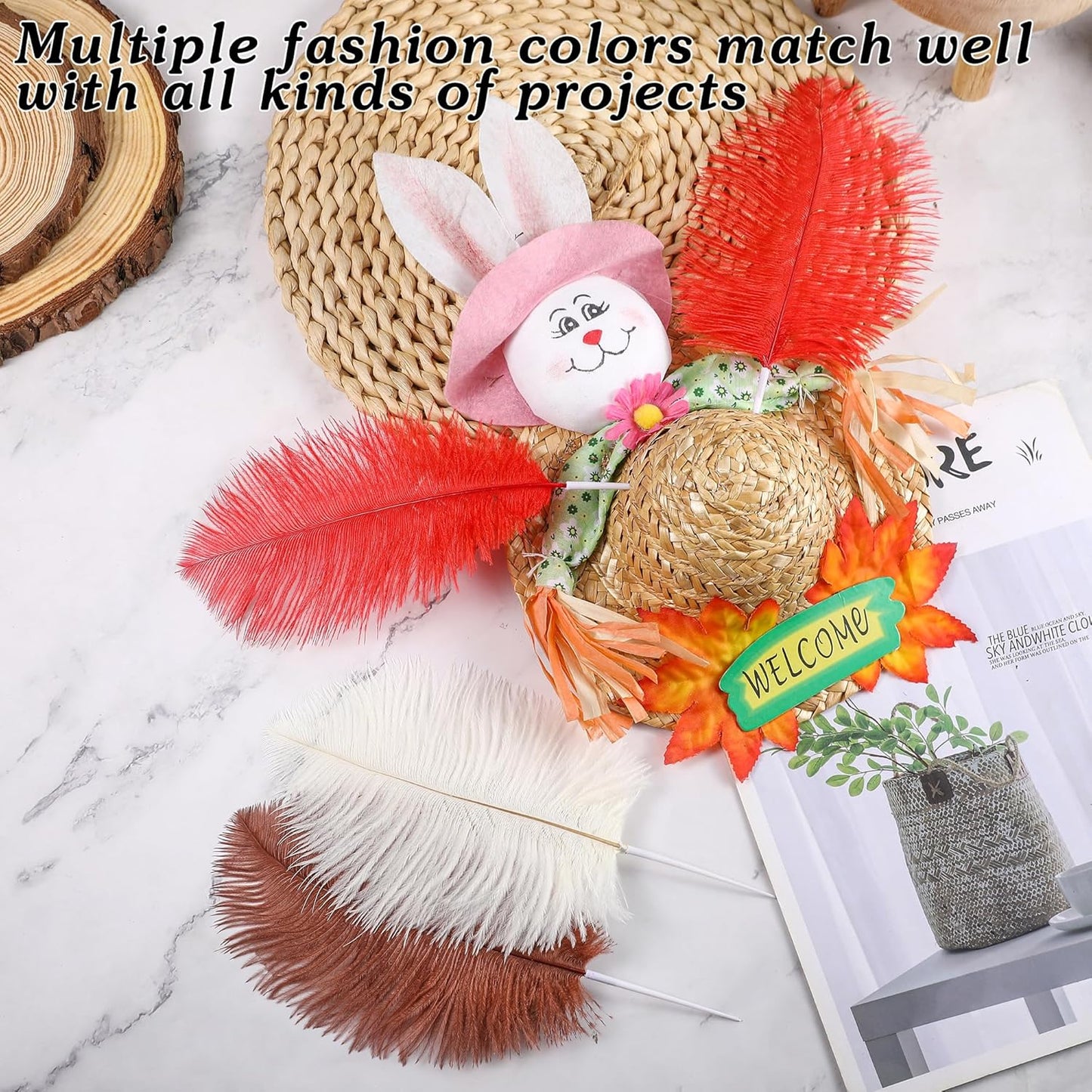 SOGUGOM Red Craft Ostrich Feathers - 30PCS 8-10 inch Ostrich Feathers Kit for Centerpieces, Kindergarten Crafts, Dream Catchers and DIY Projects(Red)