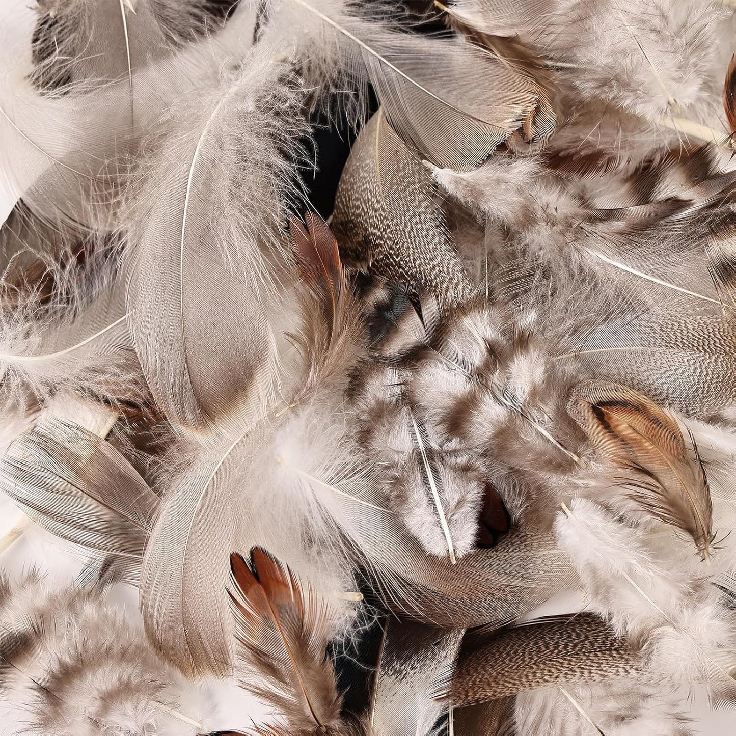 MAOFENG 210pcs 7 Styles Natural Bulk Feathers Assorted Mixed Feathers for DIY Crafts Dream Catcher Wedding Hair Hats Decoration,Guinea Fowl Feathers