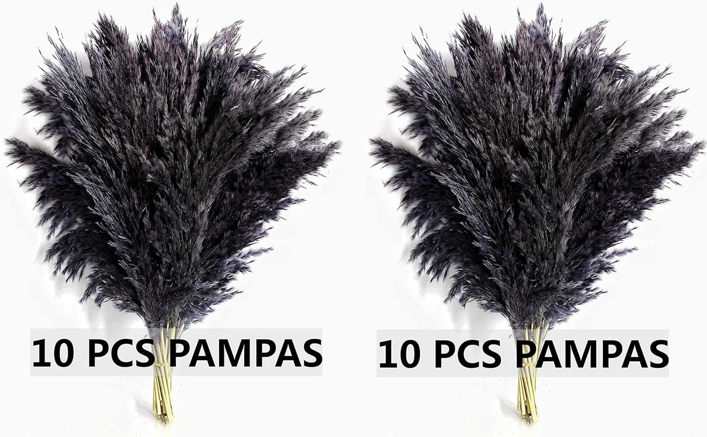 Black Pampas Grass for Home Decor - Elegant Boho Decor - Premium Quality Pampas Grass Stems - Perfect for House, Nursery, Western, Wedding, Table, and Bohemian Decor (20PCS)