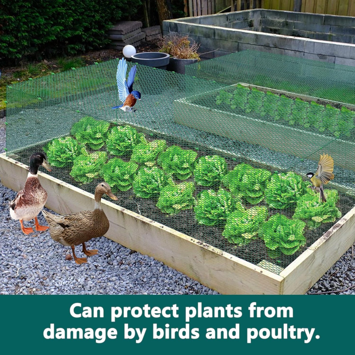 32.8FT x16Inch Plant Protectors from Animals - Wire Plant Protector Cages for Outdoor Plants, Free-Cut Metal Mesh Plant Covers Guards Fence, Chicken Wire Cloche with Ground Stakes,Zip Ties