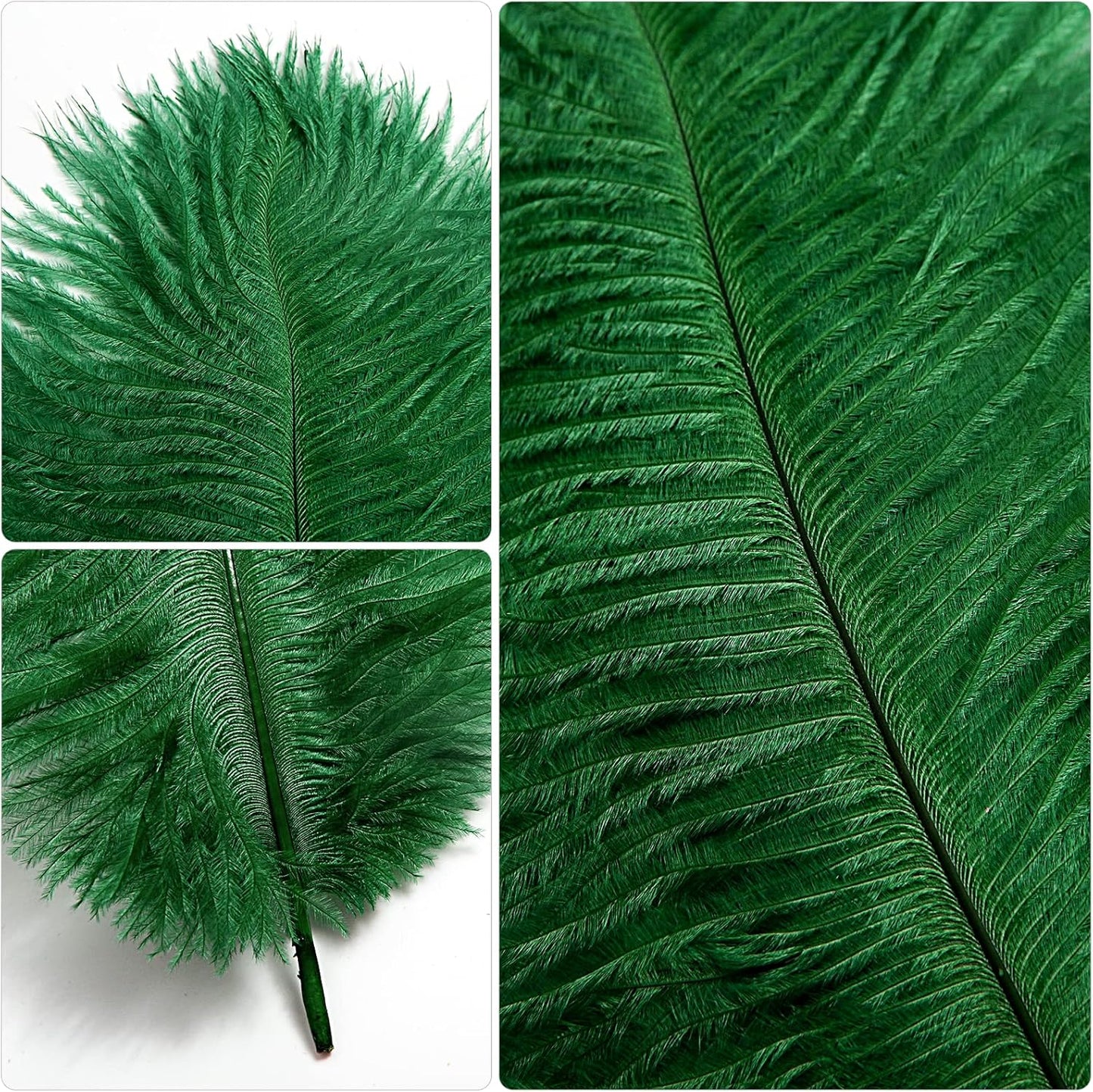 THARAHT Blackish Green Ostrich Feathers 12pcs Natural Bulk 10-12Inch 25cm-30cm for Crafts Wedding Party Centerpieces Mardi Gras Decoration Feather