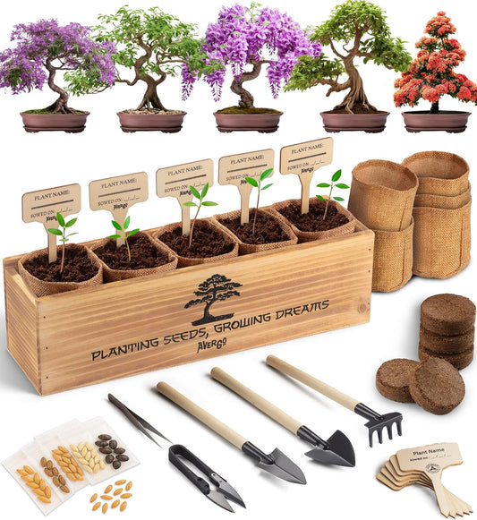 AVERGO Bonsai Tree Kit for Beginners – 5X Unique Japanese Bonzai Trees | Complete Indoor Starter Kit for Growing Plants with Bonsai Seeds, Tools & Planters – Gardening Gifts for Women & Men